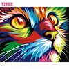 Coloured cat oil painting by numbers kits painting by numbers wholesale