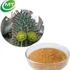 Free sample Hoodia Gordonii Extract