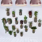 Industry leader succulents stump series plants potted ceramic flower pots