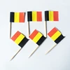 Mini Paper flag with stick, Paper Toothpick Flag, Small Flag
