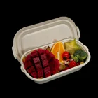 rectangular takeout sushi bagasse pulp forming lunch disposable sugarcane box