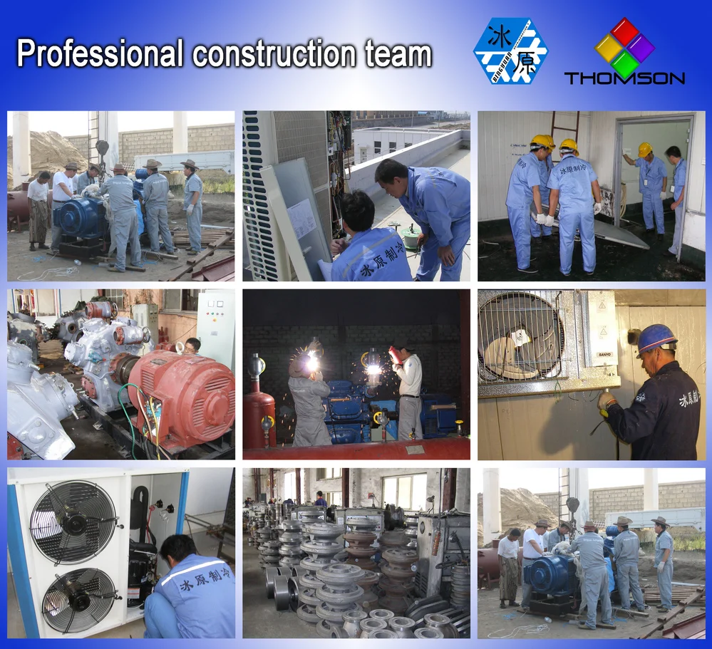 working team.jpg