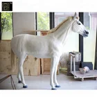 Life Size Animal Fiberglass Horse Resin Statue Sculpture