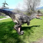 DSDC003 Dinosky adults realistic walking dinosaur costumes
