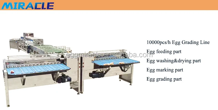 high efficiency bird eggs garding machine