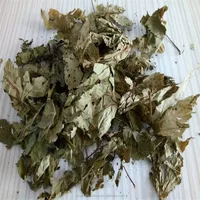 Good Reliable Supplier Herbal Tea Extract