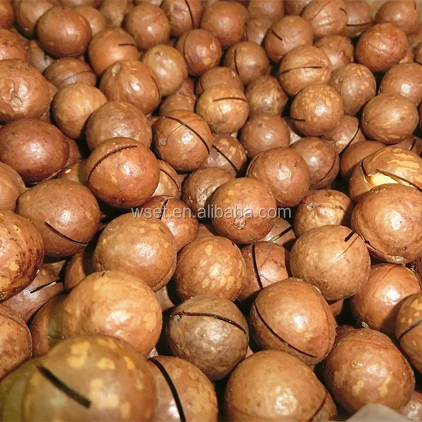 macadamia nuts