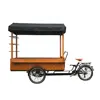/product-detail/free-tariff-hot-selling-3-wheel-pedal-assisted-customized-icecream-food-cart-style-mobile-trailer-electric-coffee-vending-bike-60576227316.html