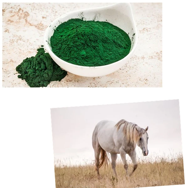 E Spirulina A 12.jpg