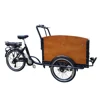 Free Tariff Heavy Duty Front Cabin Electric Cargo Tricycle Price Carry Kids Family Cargo Bike