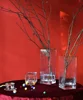 Bixuan Vases Clear Hammered Glass Cube Vase Golden Rim Decor Modern Rectangle Candleholder Table Accent Centerpieces 10x29cm