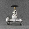 Forged steel 316 Stainless Steel Flanged Globe Manuel Valve