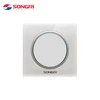 Songri Custom Color Brand 250V 16A Australia Standard Electric Light Wall Switch
