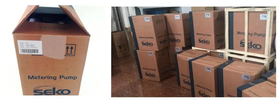 water treatment dosing pump