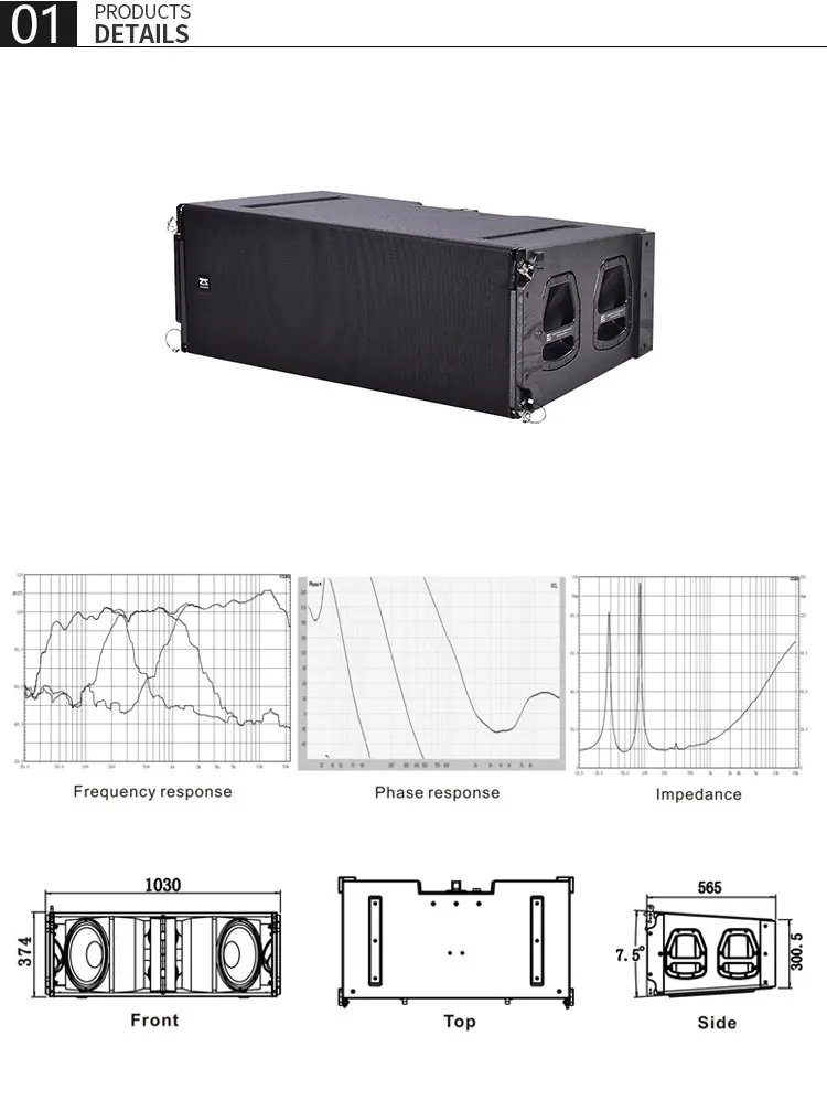 New design pa speaker club pro stereo system - ANKUX.COM