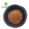 GMP Factory supply phellinus linteus sang-hwang mushroom extract