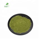 hot selling moringa leaf extract powder moringa powder
