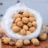 /product-detail/srnaturalfood-original-raw-walnuts-in-paper-shell-fresh-unbroken-walnuts-62052634369.html