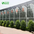 Galvanized Steel Structure Glass Cover Used Commercial Greenhouses