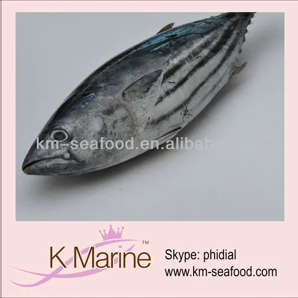 skipjack tuna fish