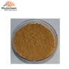 Best sale ginkgoflavon glycosides powder Ginkgo Leaf Extract Treatment of gout