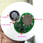 Pre-recorded voice light sensor canned jam box recordable sound module