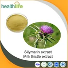 ISO manufacturer supply silymarin powder milk thistle extract