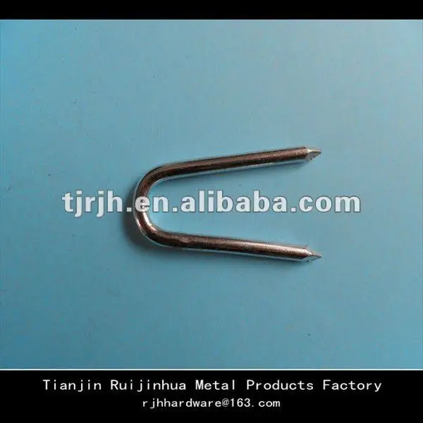 galvanized fence staple u shape nails factory