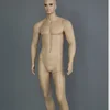 South /Latin America skin color muscle sexy lifelike male mannequins for sale