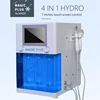 /product-detail/newest-4-in-1-hydra-dermabrasion-beauty-machine-hydrodermabrasion-facial-machine-60761271404.html