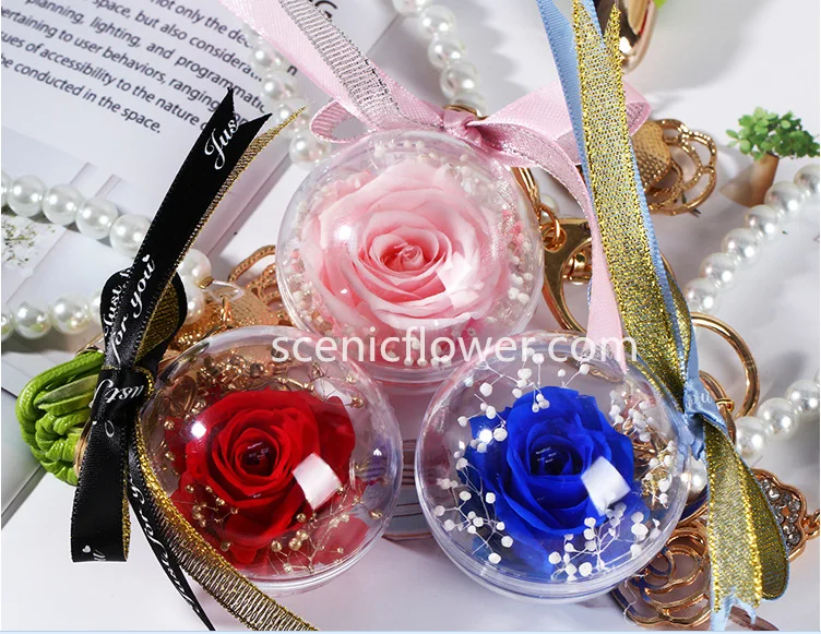 fresh preserved flower in round ball material: prserved rose