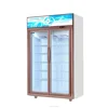 /product-detail/commercial-refrigerator-860-liter-upright-deep-freezer-60018899122.html