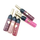 Factory Direct Selling Customized Logo and Color Lip Gloss Private Label Matte