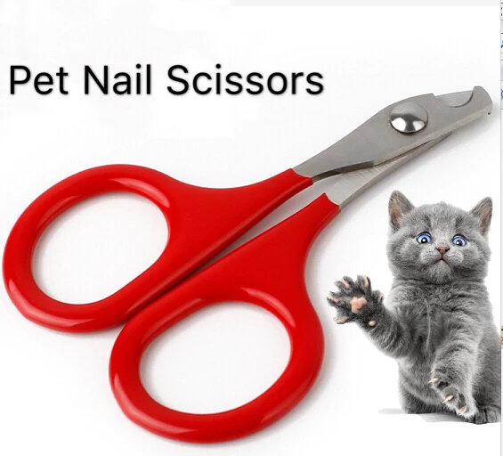 dog nail scissors