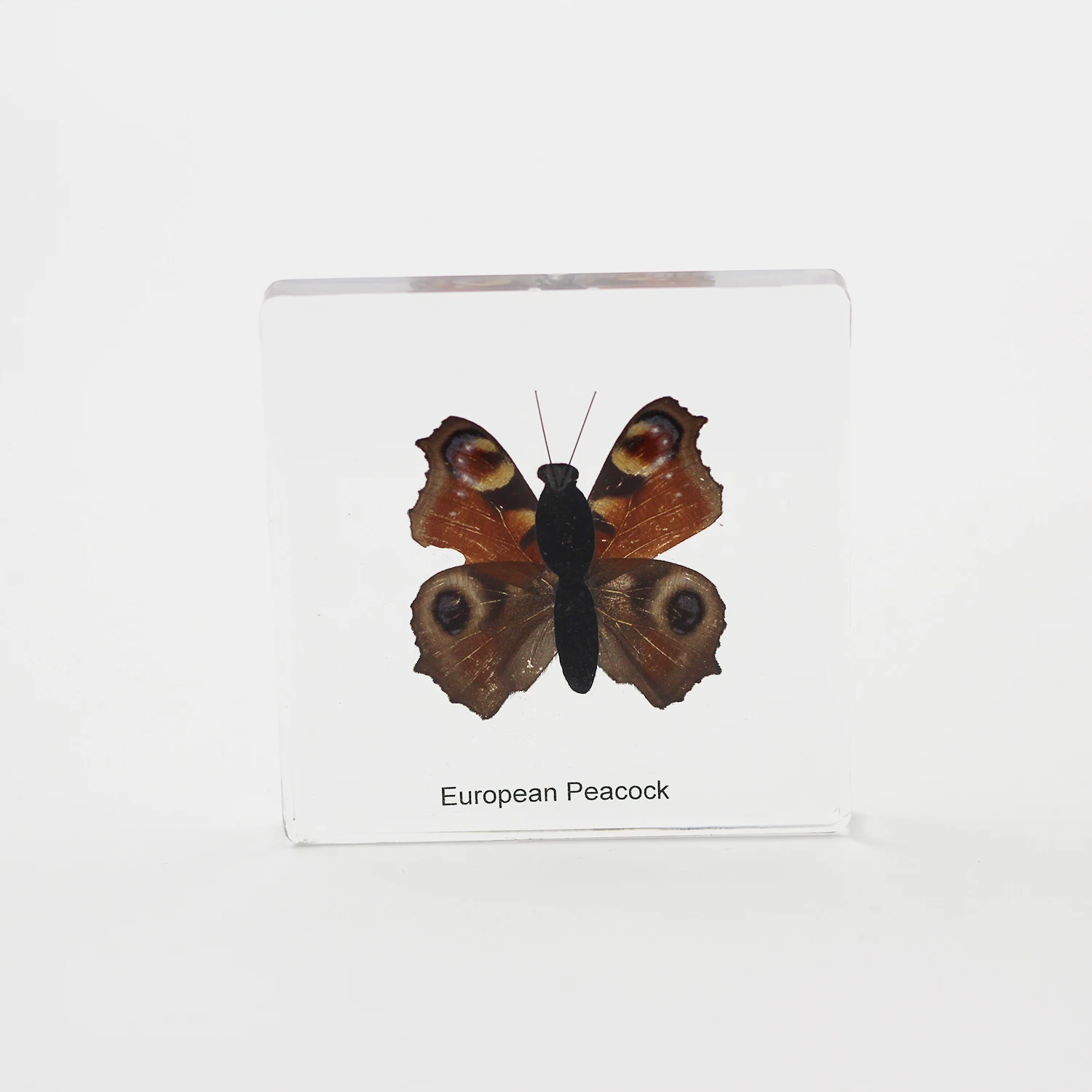 marketing resin arts&crafts for educational use,promotion gifts