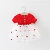 Feiming Industrial New Arrival Boutique Children Clothes Dress Casual Baby Girl Dresses