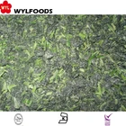 High Quality IQF Frozen Chopped Spinach Leaf