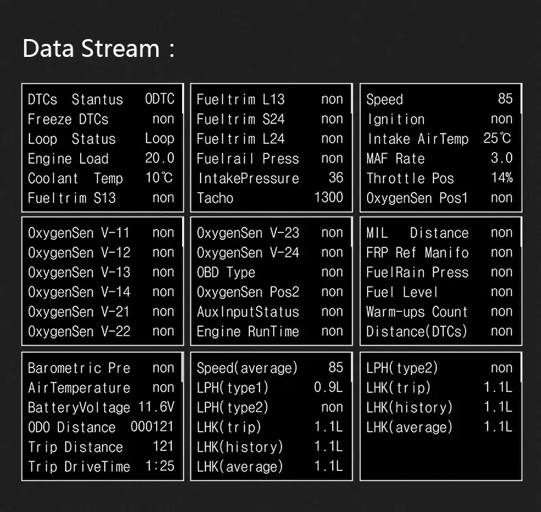 P10-_06.jpg