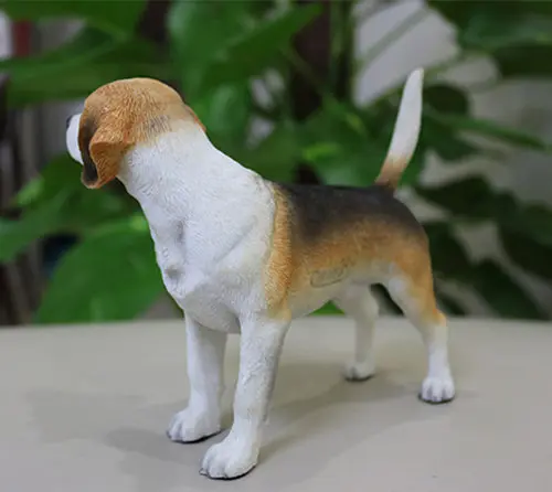 Beagle dog figure 8