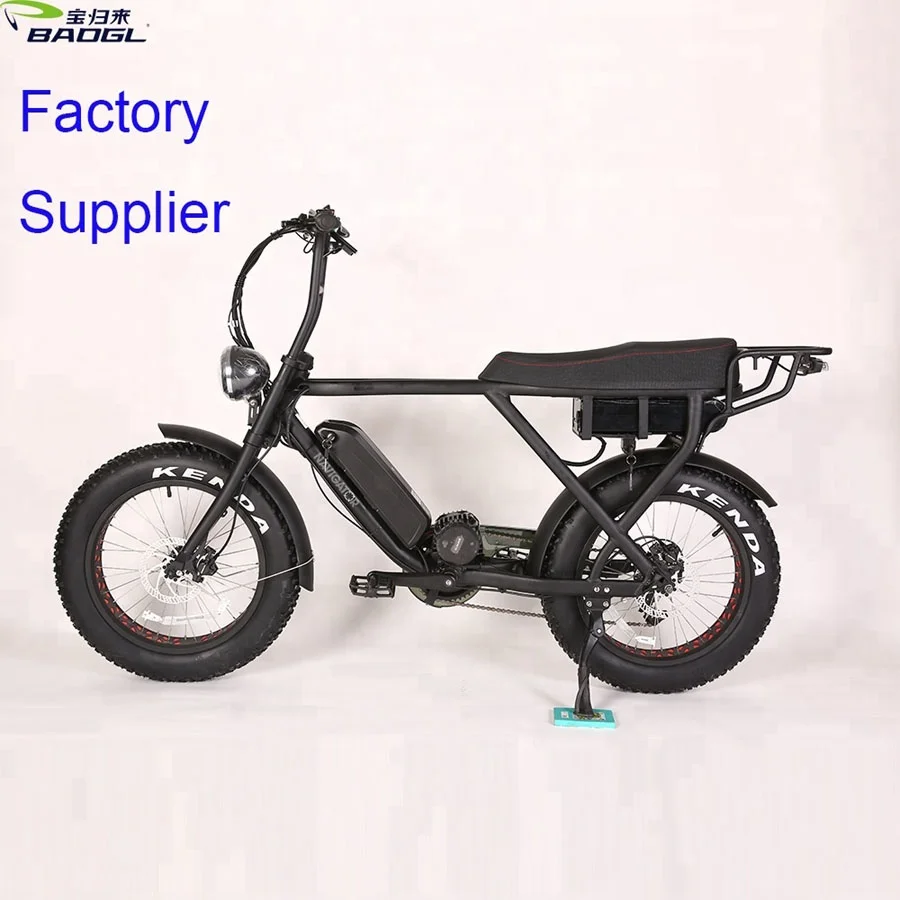 electric delivery bicycle