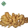 chinese fresh ginger price of fresh ginger