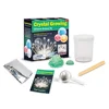 Deluxe Crystal Growing Kit Toy for Kids/Stem Educational Toys/ Grow Crystals Science School Experiment Set