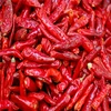China exporter dried sweet red pepper to Hungary Spain Malaysia