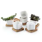 Wholesale ceramic succulent pots mini square white succulents planter ceramic flower pots