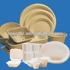 Eco-friendly Biodegradable plate Compostable biodegradable food tableware