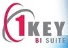 1KEY Agile Business Intelligence Suite software