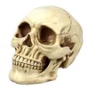 /product-detail/customize-life-live-human-resin-skull-heads-for-decoration-1833334848.html