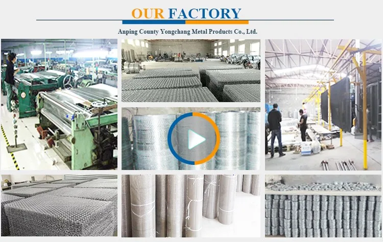 my test Welded wire mesh in rolls