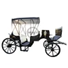 /product-detail/cinderella-car-manufacturer-electric-horse-carriage-60474485181.html