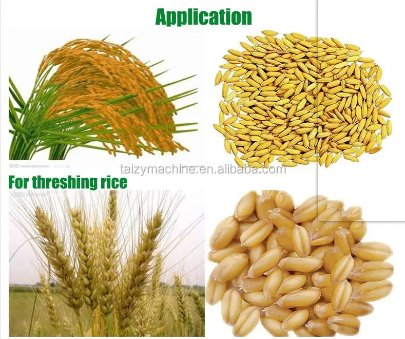 corn maize wheat soybean paddy peeling pecan milling rice shell